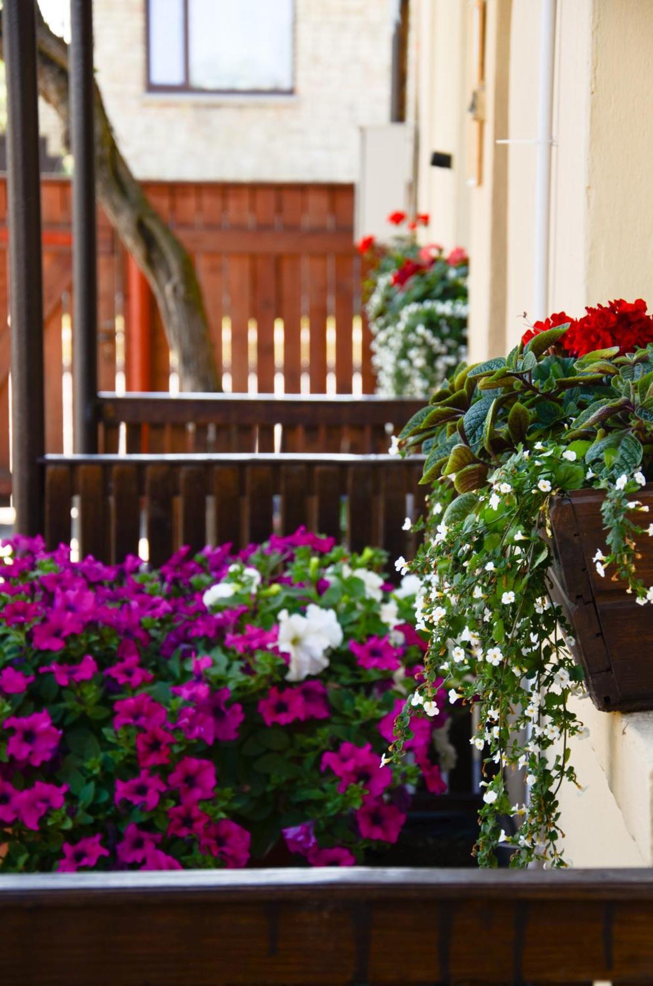 Veldzes Nams Hotel Вентспилс Екстериор снимка